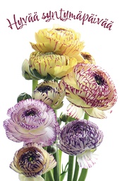 [3302116] Pakettikortti syntymäpäivä