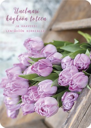 [2725536] 1-os kortti Ilona Pietiläinen