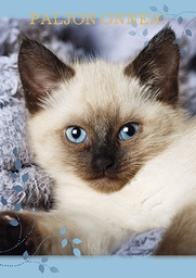 [4750125] 1-os eläinkortti kissa