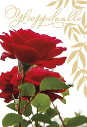 [245287] 2-os Ylioppilas