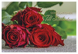 [245317] 2-os Ylioppilas R setelitasku 