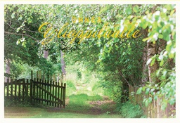 [24P4090] 2-os Ylioppilas rahakuori