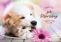 [1480198] 2-os äitienpäivänä R