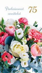 [17P75000] 2-os vuosikortti 75v