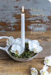 [1905612] 2-os osanotto Ilona Pietiläinen