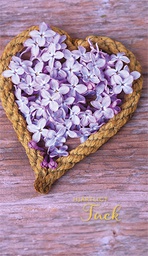 [1984003] 2-os kiitos R