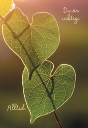 [49P00314] 2-os kortti Mieli ry R