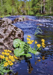 [2725567] 1-os kortti kevät