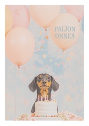 [2725541] 1-os kortti Lola Design