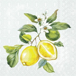 [C1035128] LEMON WREATH mint  25 cm 