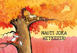 [2970585] 2-os hupikortti Kamala luonto