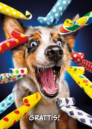 [3910163] 1-os hupikortti Avanti