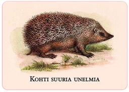 [60951] 1-os ajatelmakortti Maroy