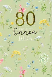 [1799808] 2-os vuosikortti 80v