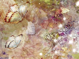 [318322] Juliste 60x80cm Vaaleat perhoset