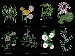 [318329] Juliste 60x80cm Kasvisto