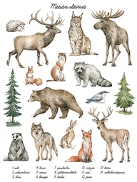 [318132] Juliste 30x40cm metsän eläimet