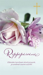 [237978] 2-os rippi folioristi