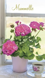 [1480039] 2-os Mummolle Jorma Jämsen