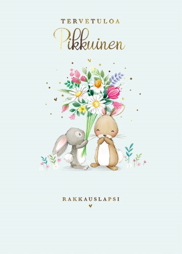 2-os vauvakortti poika