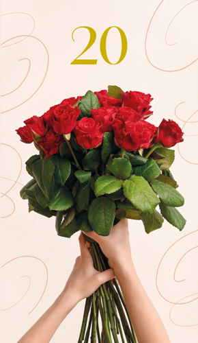 2-os vuosikortti 20v