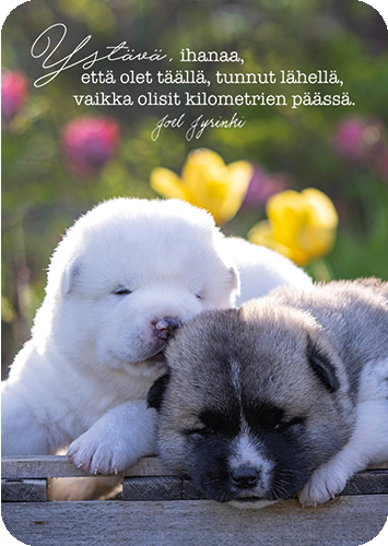 1-os kortti Joel Jyrinki