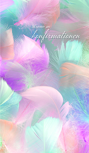 2-os rippi R setelitasku 