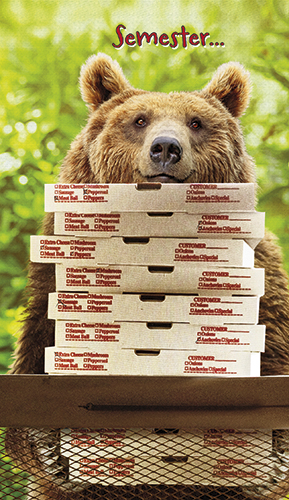 2-os hupikortti Avanti R