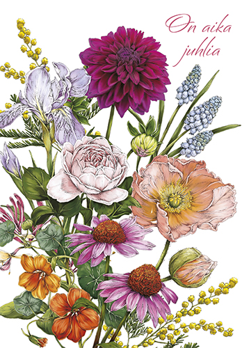 1-os kortti Catherine Lewis