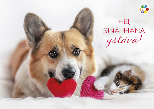 1-os ystävänpäivä Syöpäpotilaat PMM