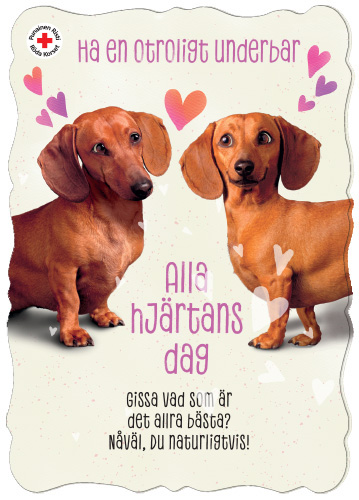 1-os ystävänpäivä R SPR PMM Hallmark