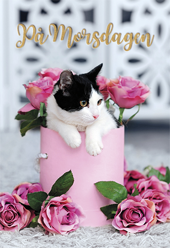 2-os äitienpäivänä R