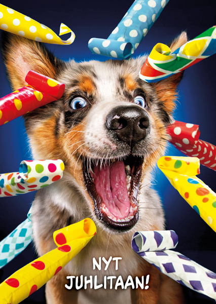 1-os hupikortti Avanti