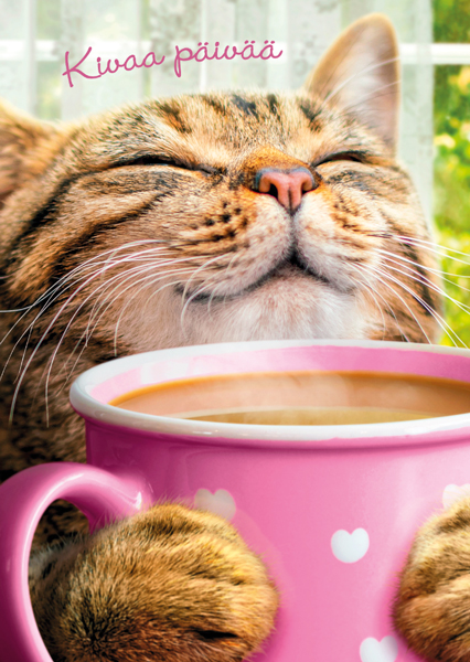 1-os hupikortti Avanti