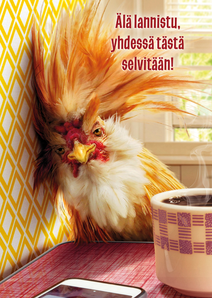 1-os hupikortti Avanti