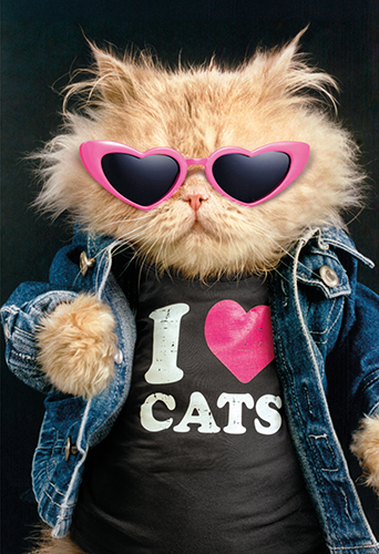 2-os hupikortti Avanti