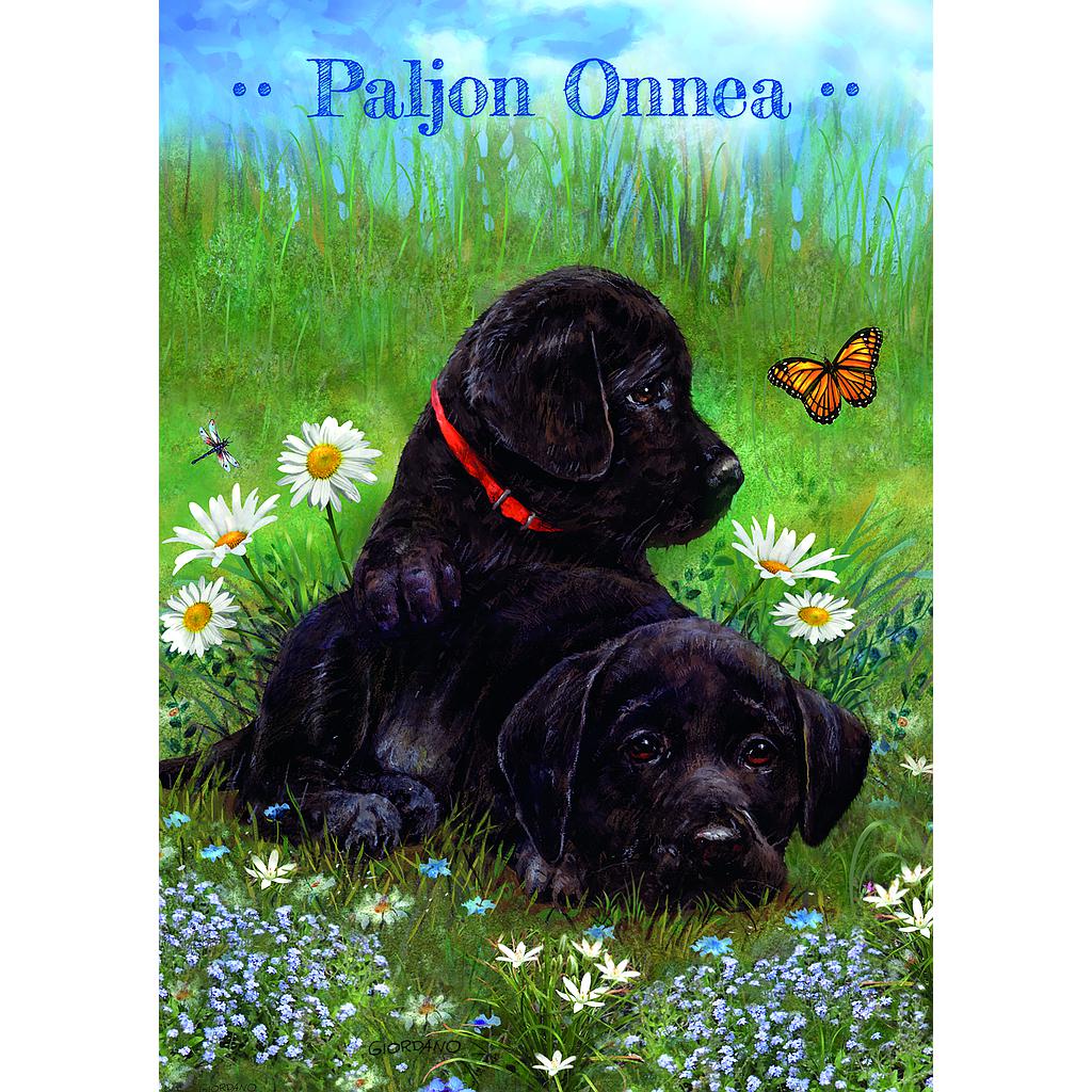 1-os lastenkortti Giordano