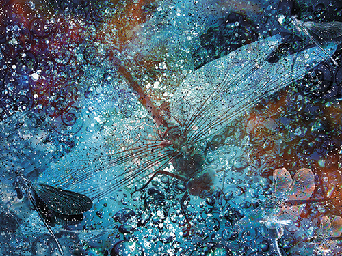 Juliste 60x80cm Sudenkorennot