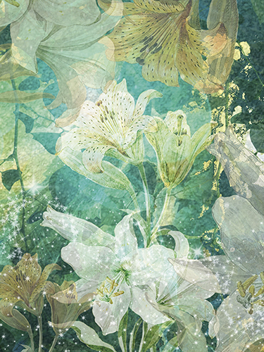 Juliste 60x80cm Summerlilies