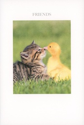 [49P00124] 2-os kortti engl