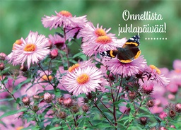 [25P20071] 1-os onnittelu