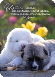 [2725442] 1-os kortti Joel Jyrinki