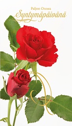 [1910073] 2-os syntymäpäivä