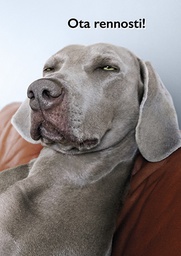 [3910143] 1-os hupikortti Avanti