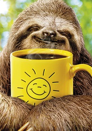 [3910144] 1-os hupikortti Avanti