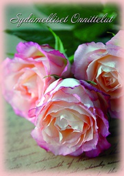 [2742382] 1-os onnittelu