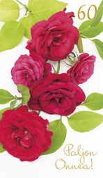 [17P60021] 2-os vuosikortti 60v