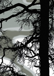 [2725484] 1-os kortti Vallila Kelohonka vihreä