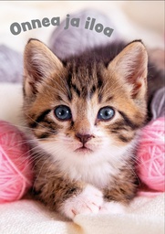 [475P0051] 1-os eläinkortti kissa