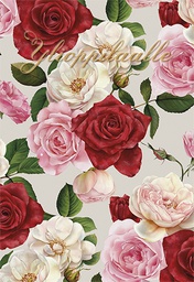 [245292] 2-os ylioppilas